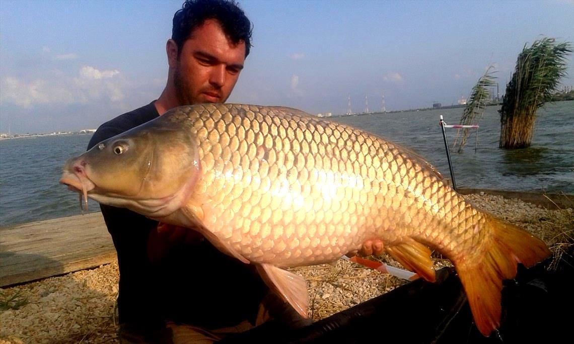 Corbu 3 - 5 iulie 2015 - 20150704185321.jpg